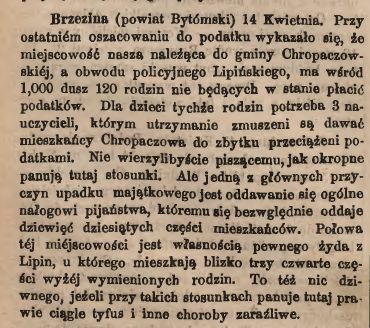 1880 Brzezina.jpg